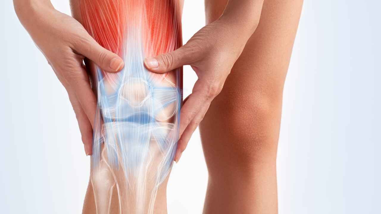 What Is A Knee Cap For?